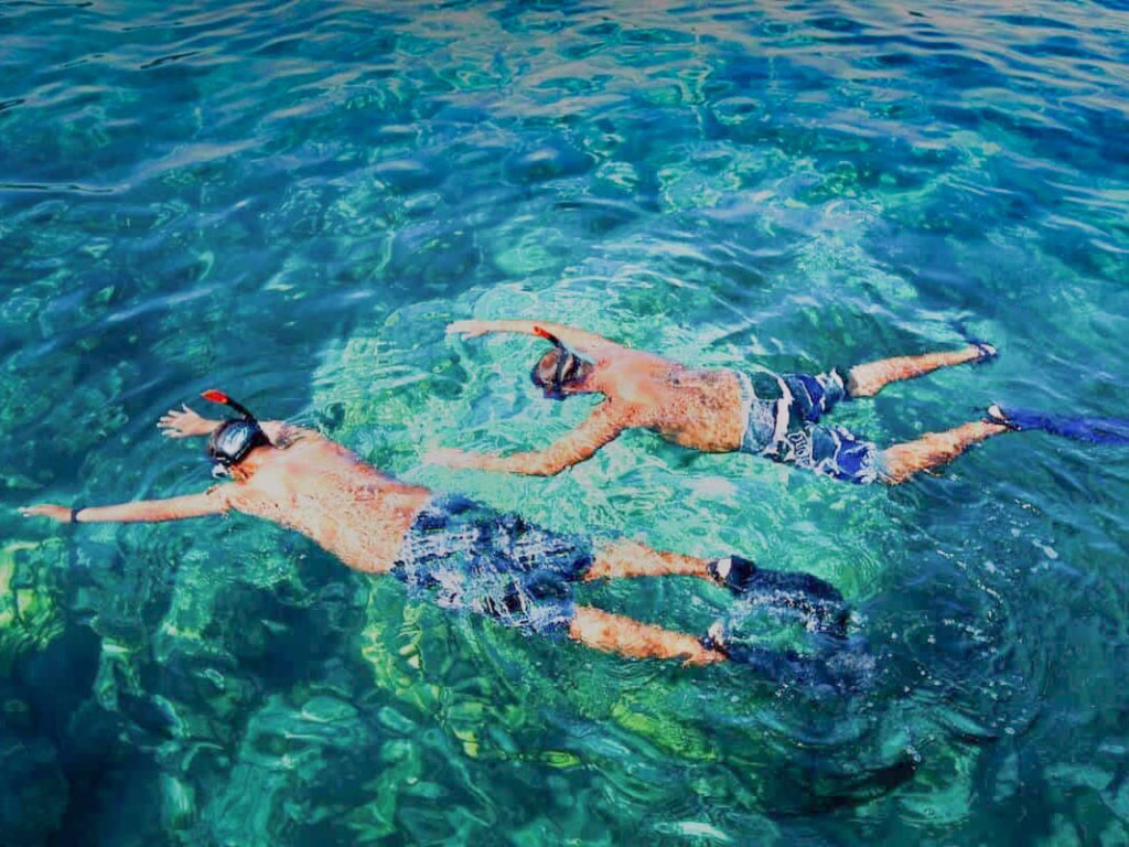 Early Bird Snorkeling